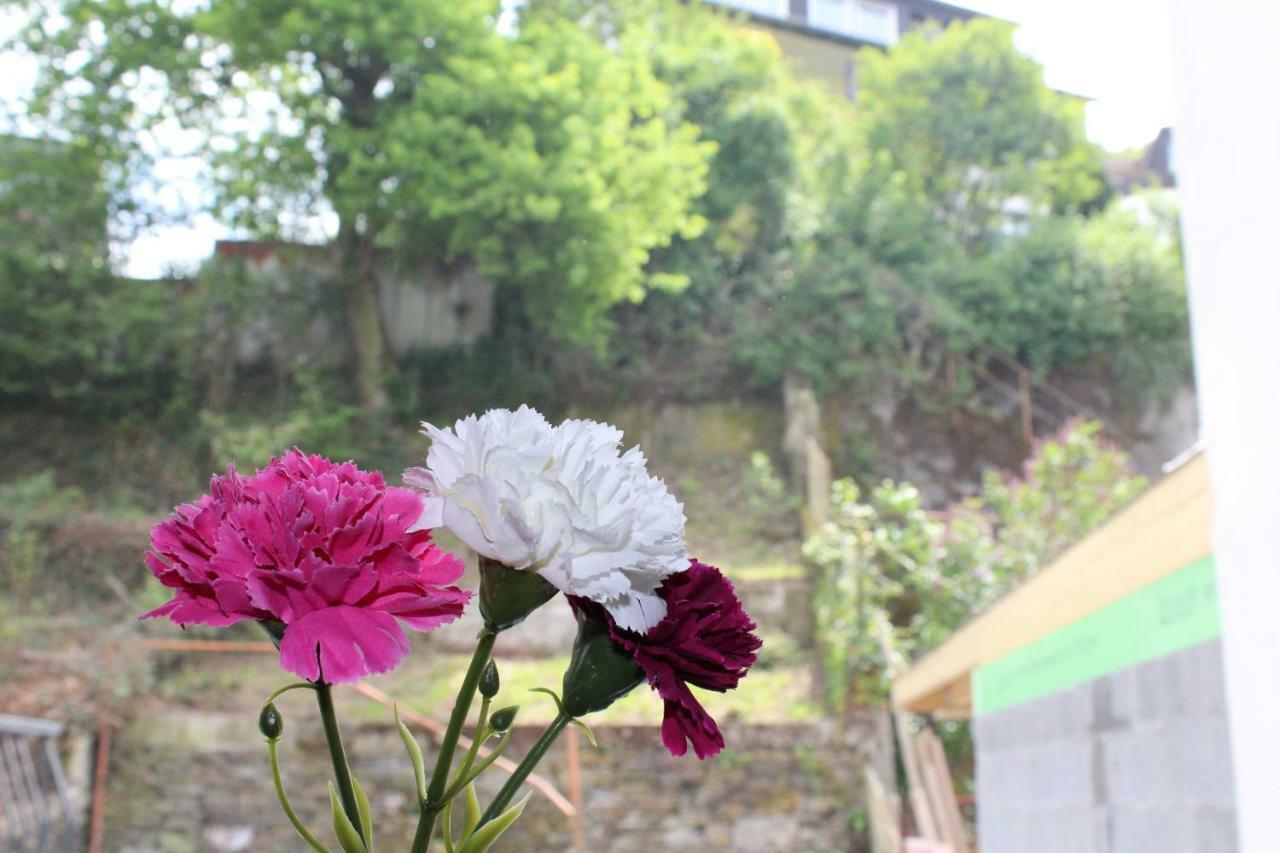 Haus Anne Apartment Cochem Luaran gambar